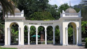 Смешные названия растений. Змея. Сухумский ботанический сад. Абхазия