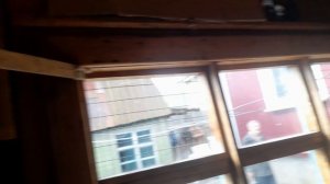 Николаевскме голуби Обзор молодых часть вторая 21.08.25 г