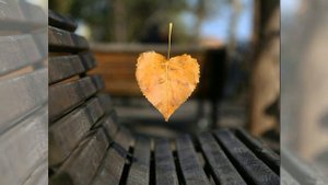 Ну, здравствуй, осень!