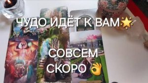 До конца лета☝️🌻К ВАМ идёт НАСТОЯЩЕЕ ЧУДО🌟