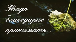 Надо благодарно принимать...