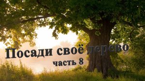 Посадка дубов Часть 8
