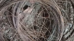 Секрет крепкого забора: Что такое цепевязальная проволока и как ее используют