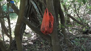 В посёлке Раково