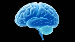 Нейроэнергокартирование