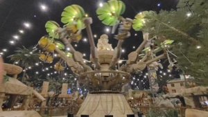 VID_20250818_205825_103.mp4