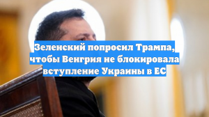 Зеленский попросил Трампа, чтобы Венгрия не блокировала вступление Украины в ЕС