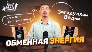 Обменная энергия