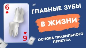 Главные зубы. Как сохранить стоматологическое здоровье?