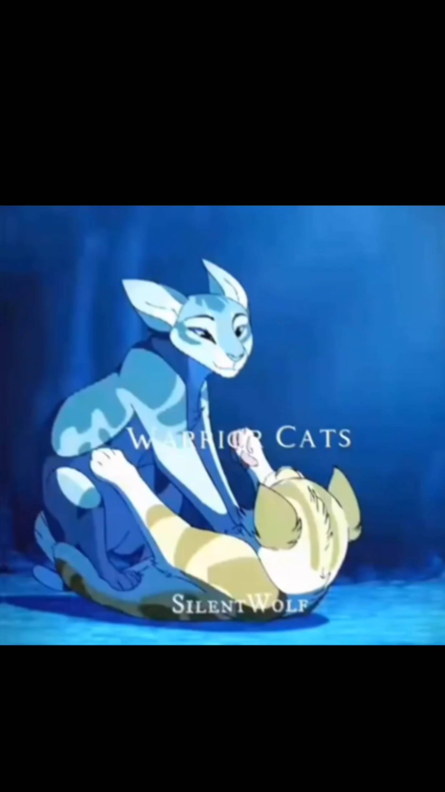 Коты-воители эдит смотреть онлайн