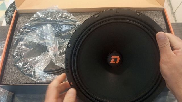 Обзор прослушка распаковка динамиков Raven 250мм  v2 от компании DL audio