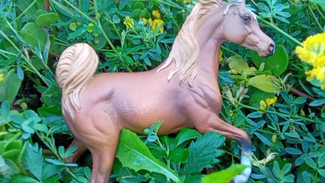 немного фоток смотреть онлайн