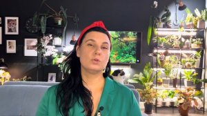 Главные признаки нехватки света у комнатных растений