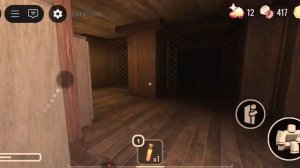 THE BACKDOOR DOORS