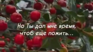 Спасибо Господи за всё 🙏