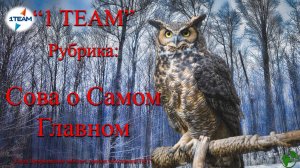 Сова о Главном. СИСТЕМЦЕЛ — оздоровление при аутоиммунных состояниях. В. Полюдов. 14.06.2025