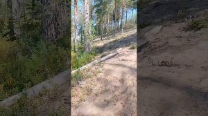 Отдых на озере.