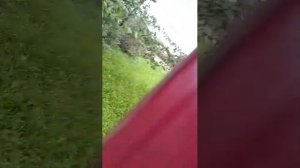 стрим в честь 20 подписчиков