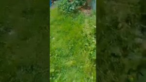 Петр Свитнев в прямом эфире!