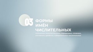 7 задание ЕГЭ. Разряды числительных