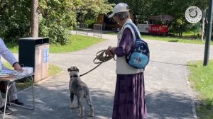 Вакцинация животных