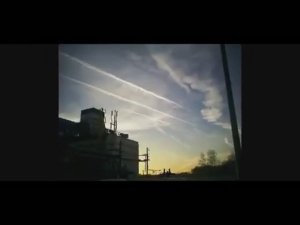 Просто фотографии