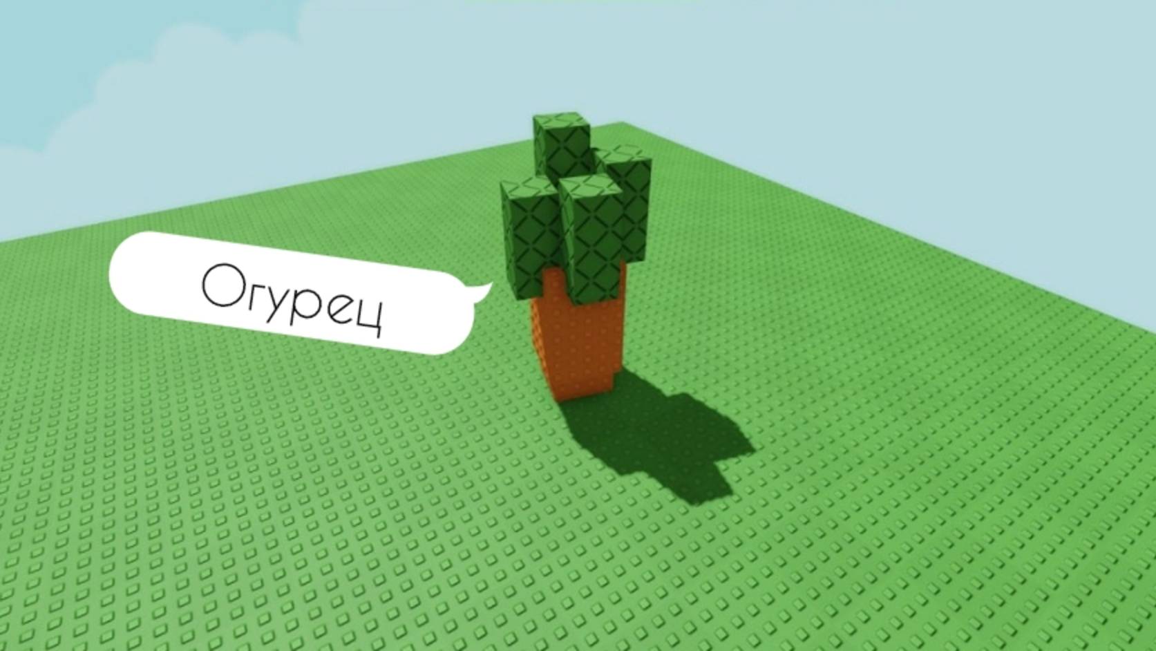 Сажаю огурцы (почти)