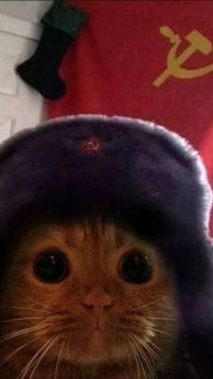 проходим капхед 3 часть