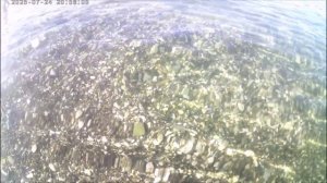 Вода Геленджика-2025