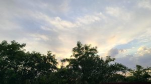 Лето продолжается, но мы закрыли купальный сезон. Жизнь на пенсии.