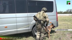 Кинологи ОГВ(с) провели тактико-специальную тренировку  ко Дню фронтовой собаки