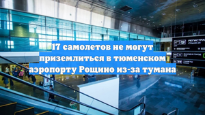 17 самолетов не могут приземлиться в тюменском аэропорту Рощино из-за тумана