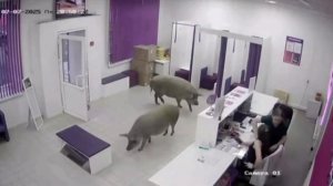 За заказами пришла с подругой😂