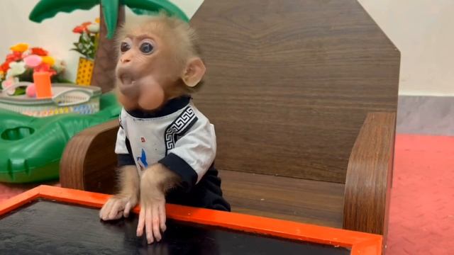 Обезьянка малышка лапатушка поиграла поела кашку Запила молоком из соски Послушный детеныш _ __