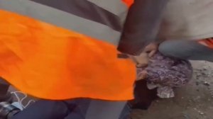 Сотрудники ФСБ в костюмах коммунальщиков задержали террориста, пытавшегося поджечь поезд в Удмуртии