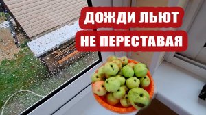 Дождь льёт не переставая! ⛈ Готовлю яблочный джем на зиму 🥫