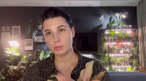 Розовые комнатные растения