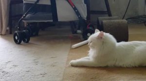 Леся и Сёма - Разминка