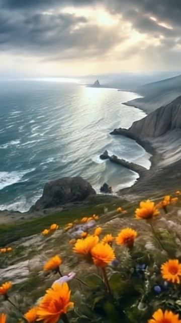 БЕРЕГ ЦВЕТЫ МОРЕ КРЫМ смотреть онлайн