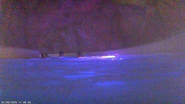 Тюмень Лето-Лето! смотреть онлайн