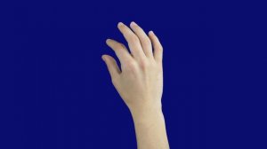 движение рукой  13-15