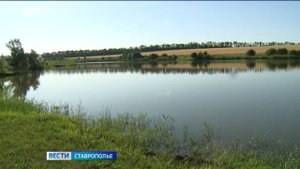 Двое детей и мужчина утонули в водоеме на Ставрополье