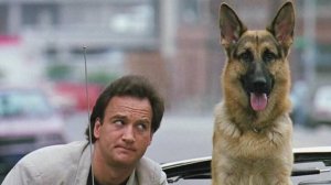 Джеймс Белуши