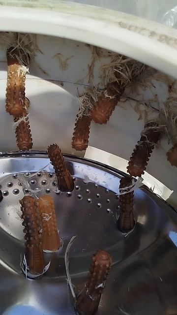 Перосъёмная машина из стиральной машины спустя 3 года полёт нормальный, как и обещал небольшой обзор смотреть онлайн