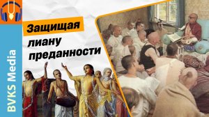 Защищая лиану преданности — Бхакти Викаша Свами