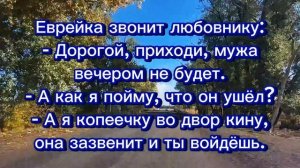 Юмор и анекдоты для хорошего настроения