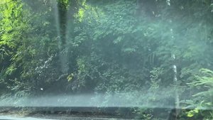 Отдых на море! День 3. Сочи! Катание на сапе . Прогулка по набережной! Встретили блогера. 20.08.2025