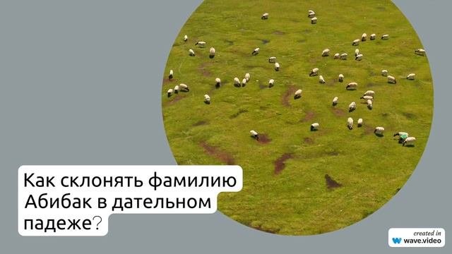Фамилия Абибак: история, происхождение и склонение - все, что нужно знать!