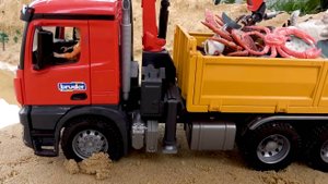 Грузовик, перевозящий морских животных, пересекающих глубоководье.