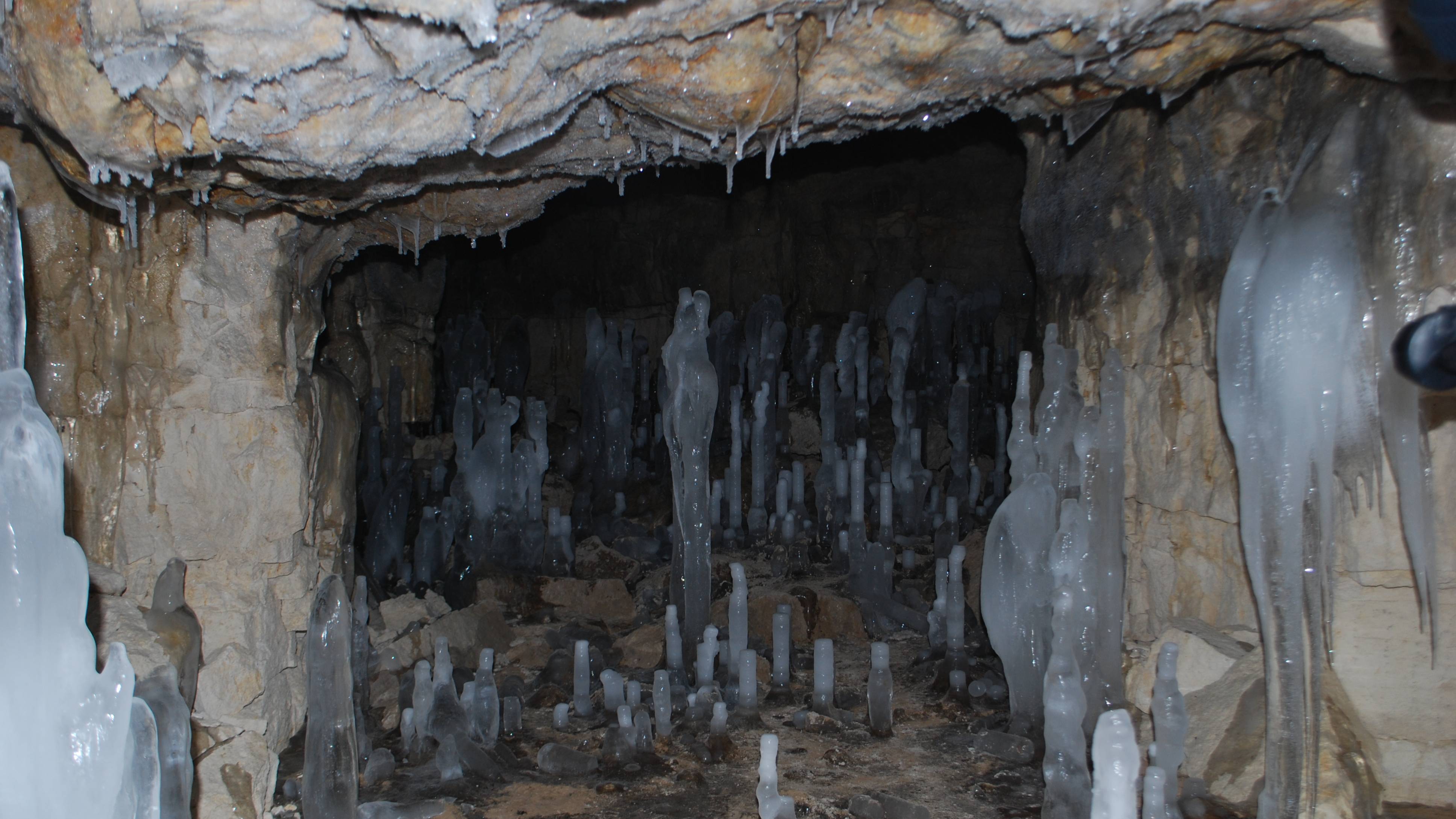 Зимняя школа выживания -2016 смотреть онлайн